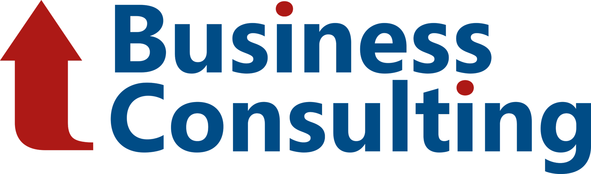 Business Consulting SpA